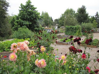 garden learning landscape