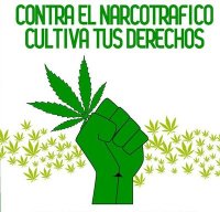 cosecha