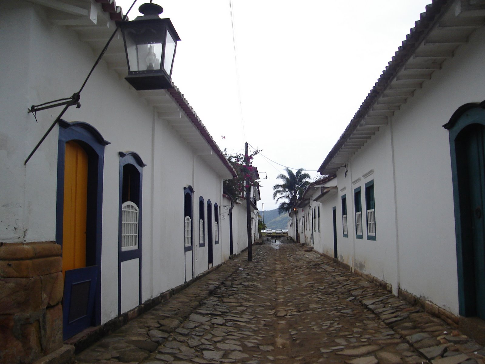 [DSC07571.JPG]