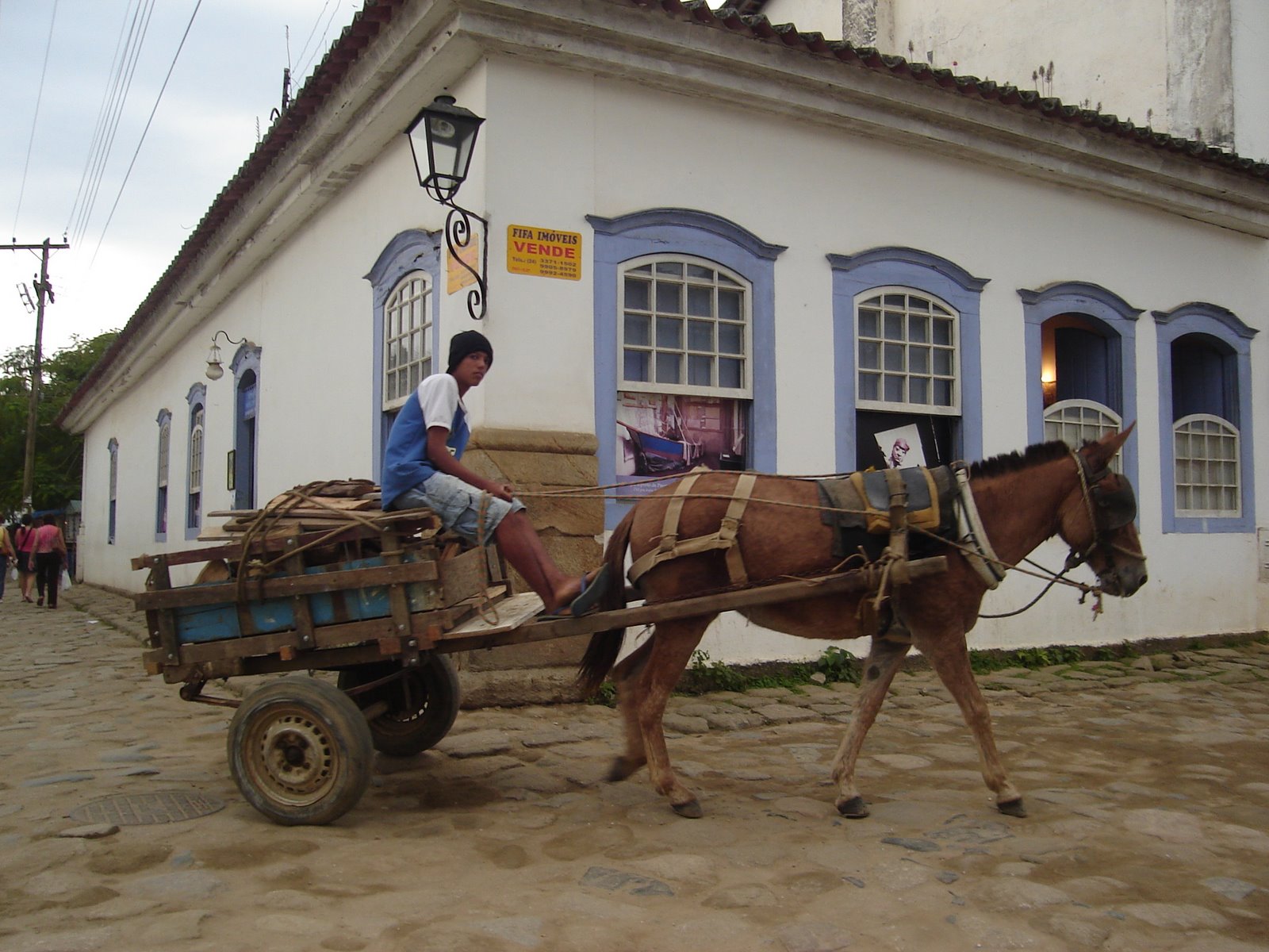 [DSC07579.JPG]