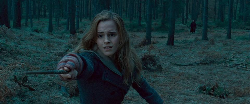 The Screaming Axe Harry Potter and the Deathly Hallows Part 1 (2010)