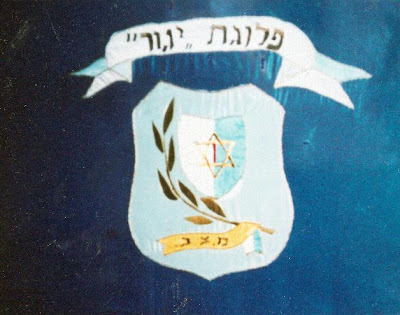 דגל פלוגת יגור