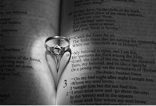 Song of Songs David's Shield