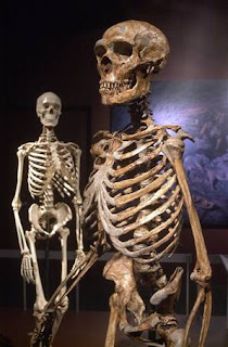 http://4.bp.blogspot.com/_zodwH9SJdNQ/SA0mEKSEl1I/AAAAAAAAAIo/B-bT1goYTh8/s320/neanderthal_vmed_2p.jpg