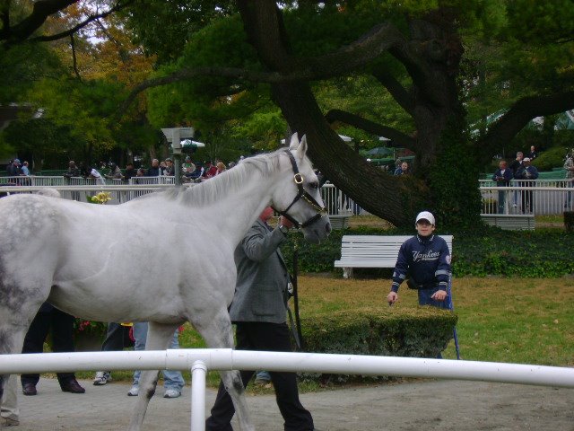 [Copy+of+DSC01605.JPG]