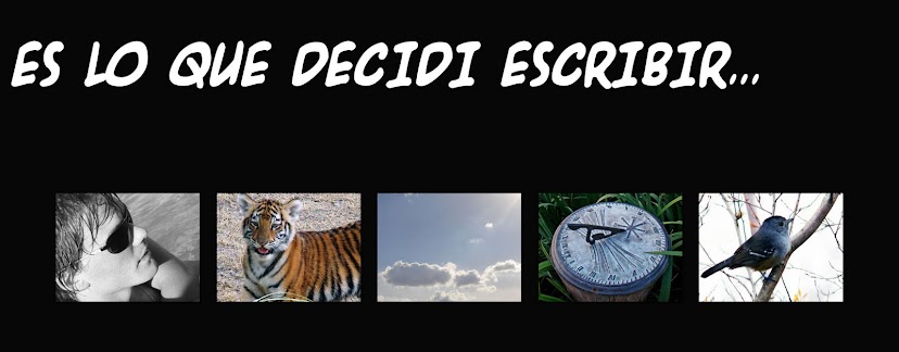 Es Lo Que Decidi Escribir