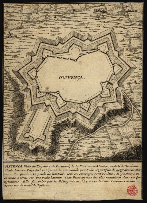 [olivenca.jpg]