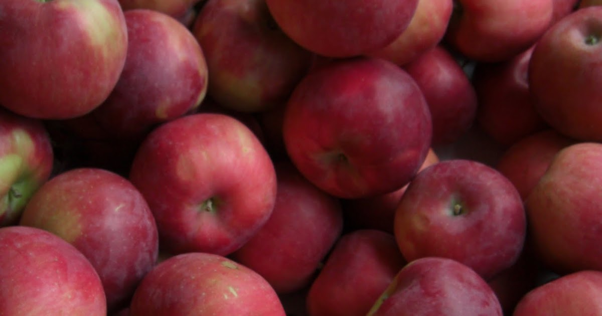 Kate and Julio's kitchen Jonamac Apple, cinnamon Jelly