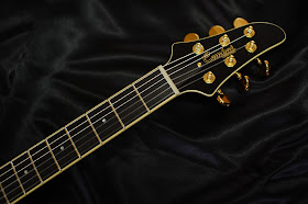 Colin S Corner Electric Classical Guitar