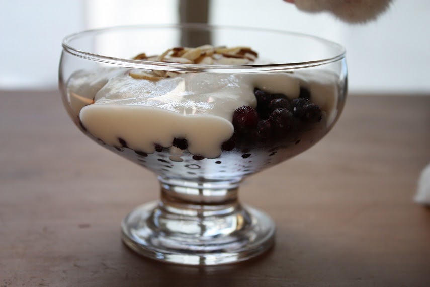 Vegan Epicurean Almond Milk Yogurt Version One
