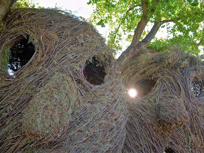 Picture 9 Stickwork. A New Book Featuring The Amazing Work Of Patrick Dougherty.