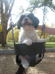 Fred Fred Likes to Swing!