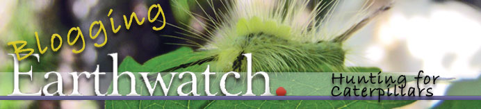 [caterpillars.jpg]