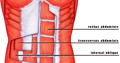 Six Percent: Insane Transverse Abdominis Power - A Demonstration (Day 10)
