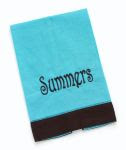Aqua Hand Towel with Chocolate Brwon Trim