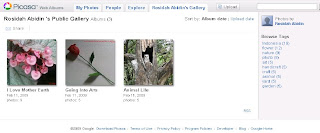 My Picasa Web Albums