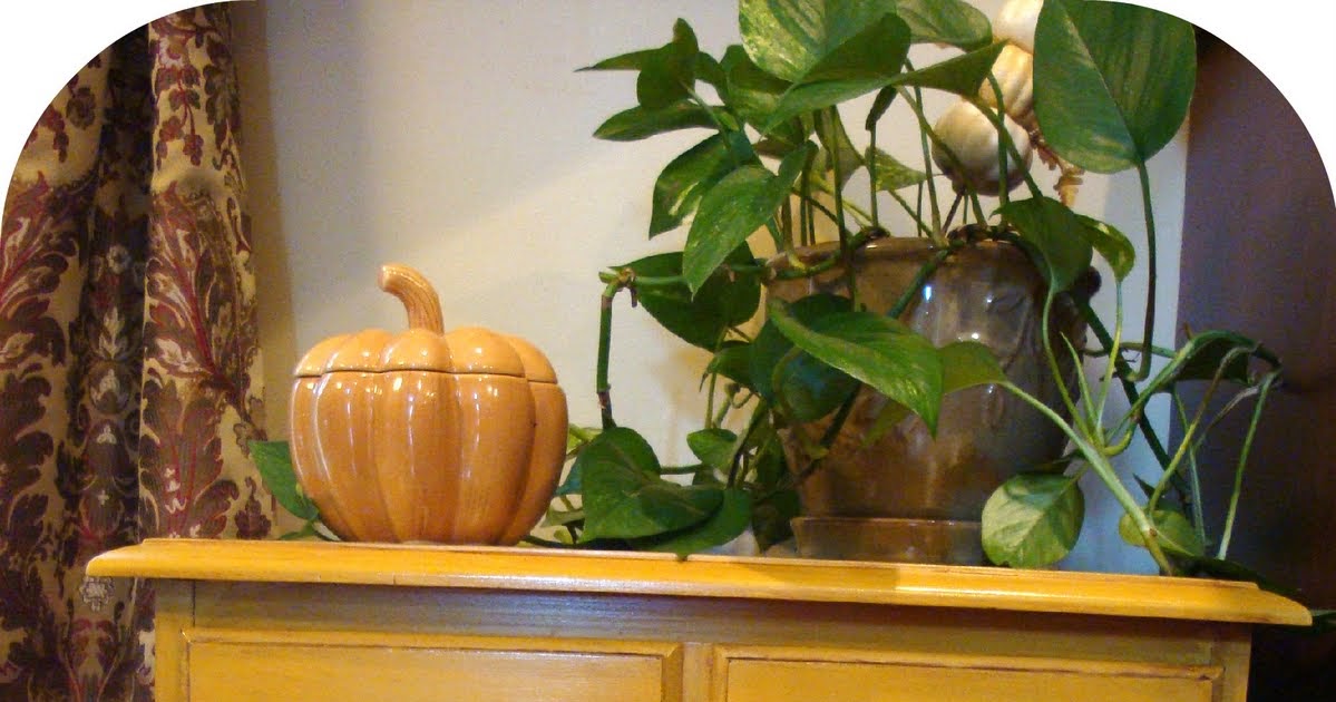 The Penny Parlor Distressed Mustard With a Side of Mocha Glaze