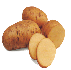 [Image: potatoe%5B1%5D.gif]