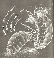 Illustration from p.112, transgender wood louse.