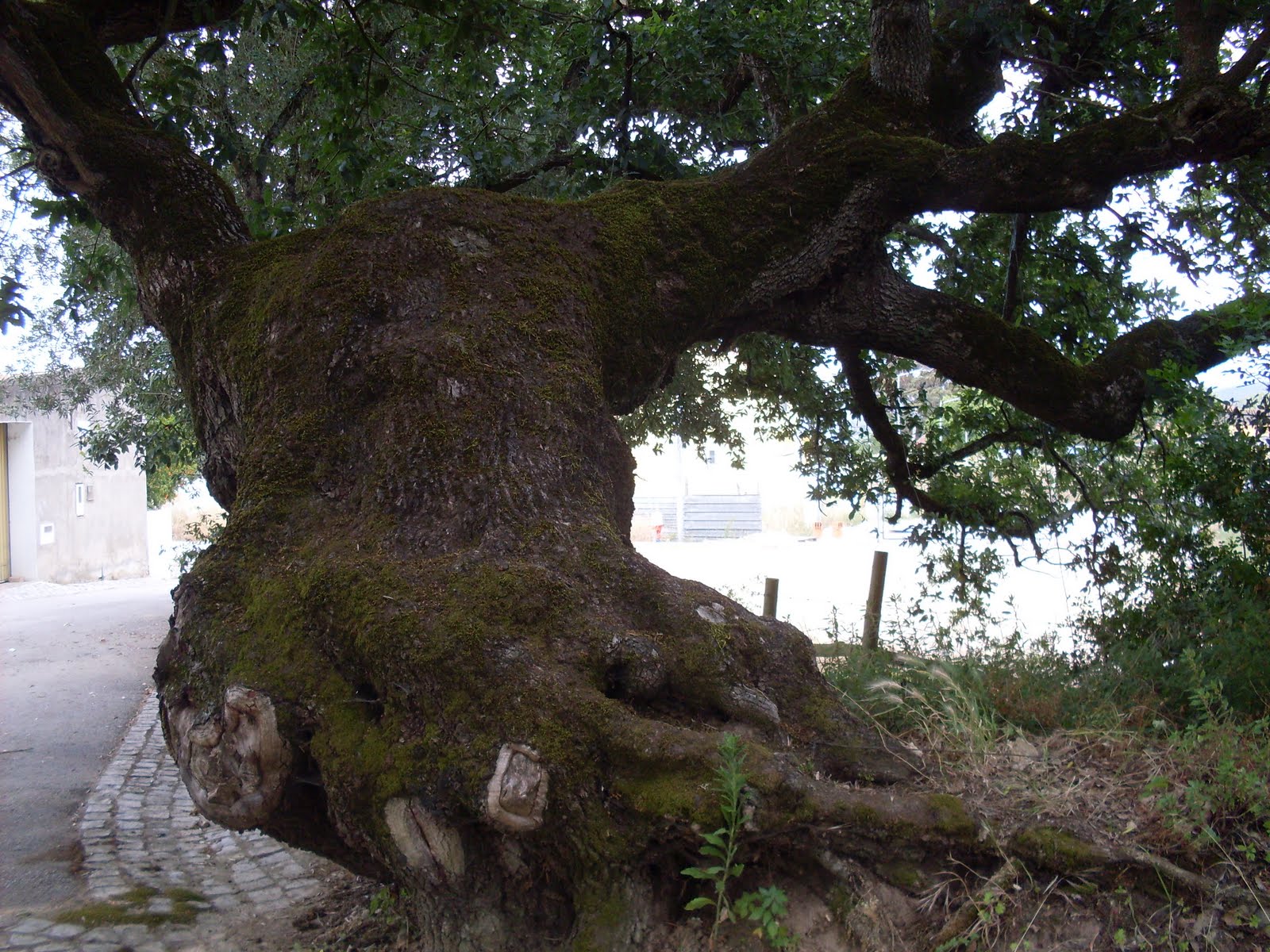 [SDC11807.JPG]