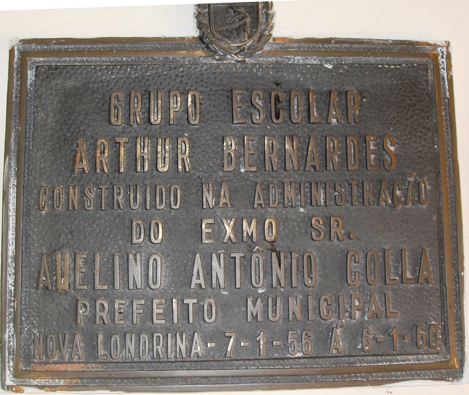 [SDC19273.JPG]