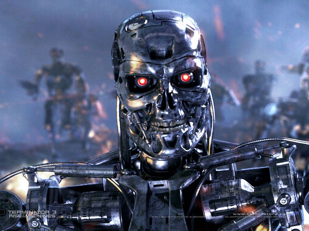 [terminator4.jpg]