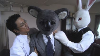 [executive+koala+2.jpg]
