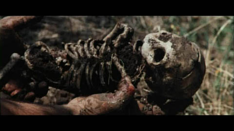 [donttortureaduckling3.jpg]