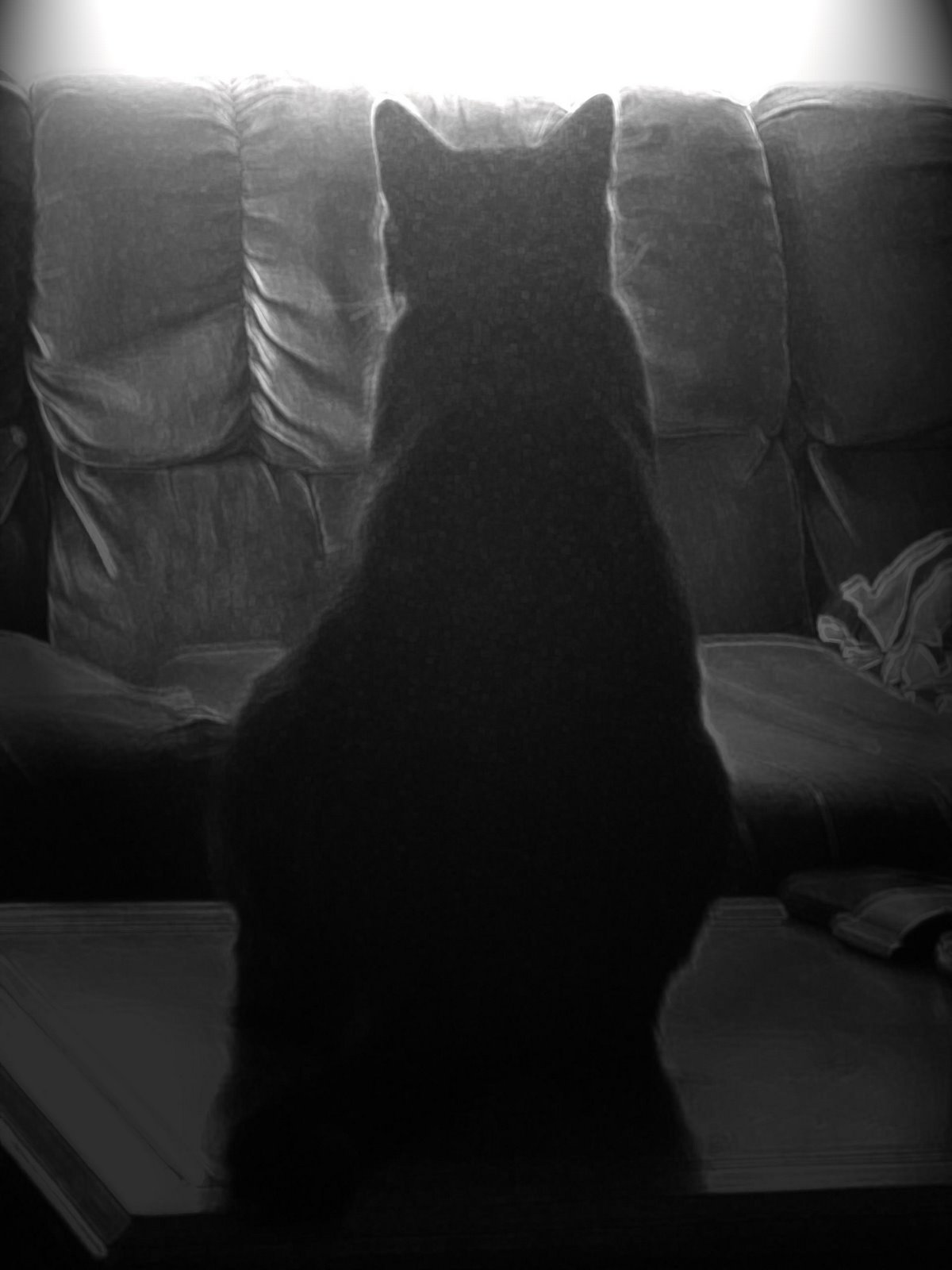 [Osiris+in+Space.jpg]