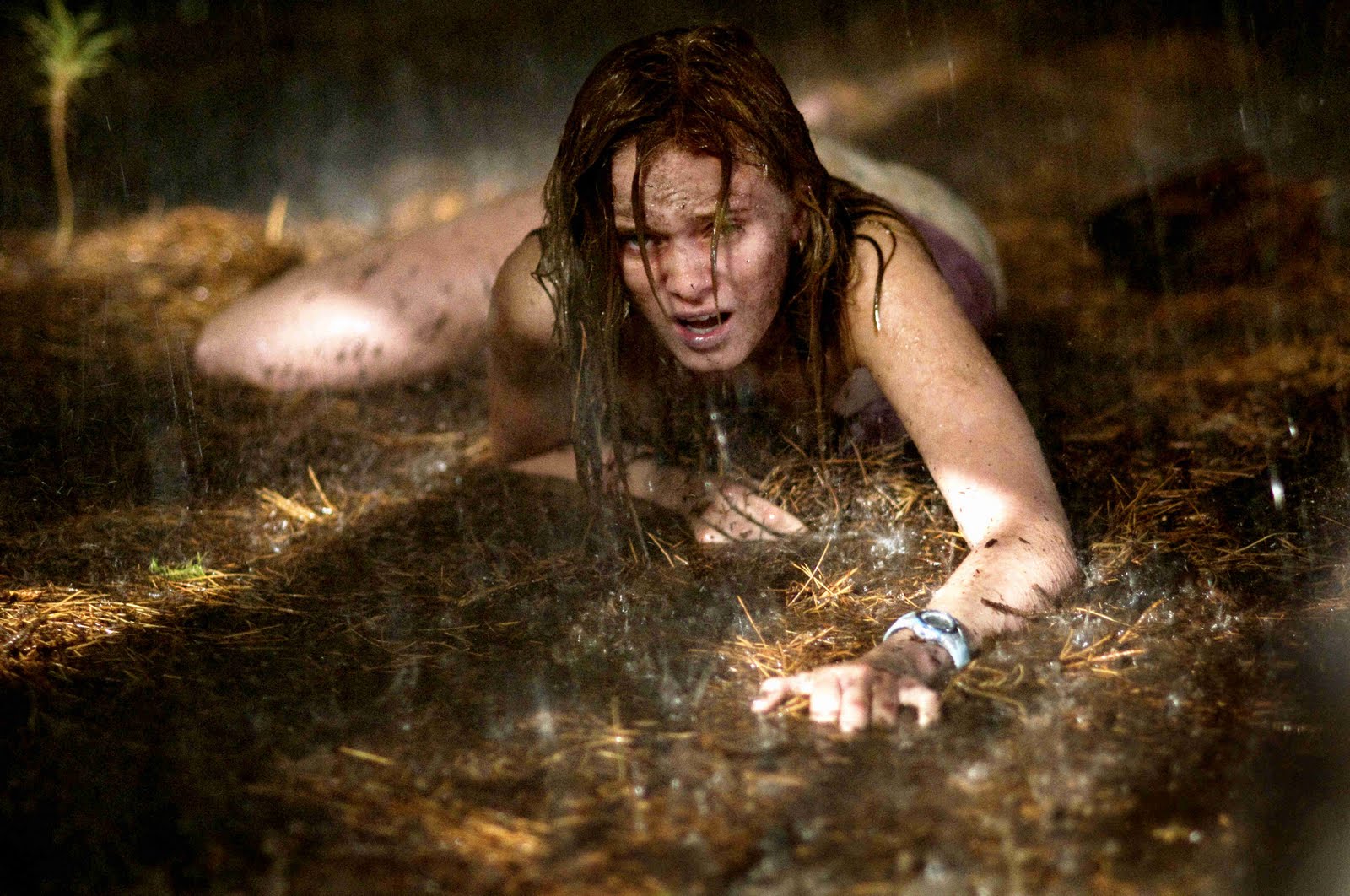 [the_last_house_on_the_left13.jpg]