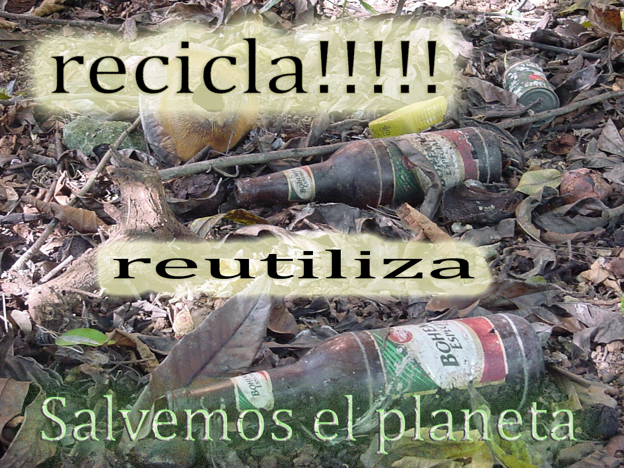 reciclaje