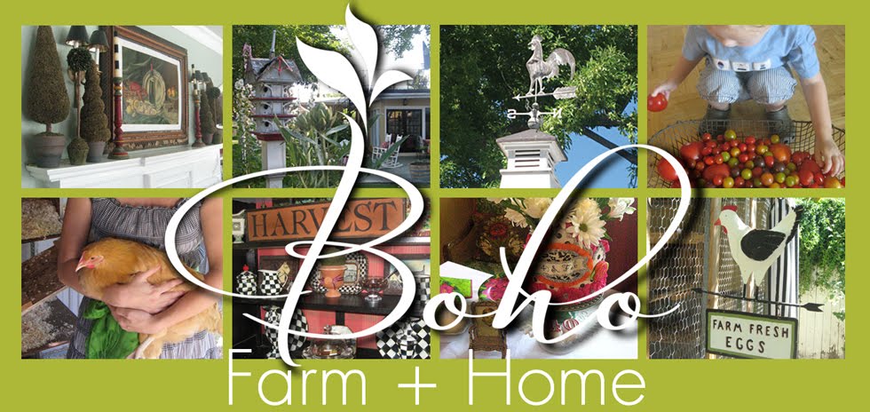 Boho Farm and Home