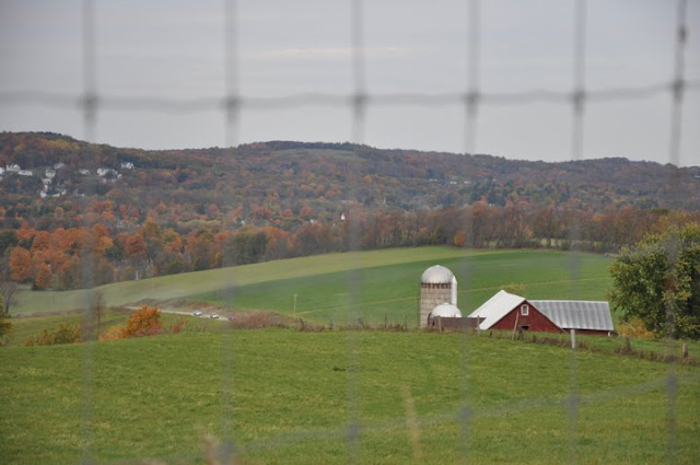 1 ochs orchard