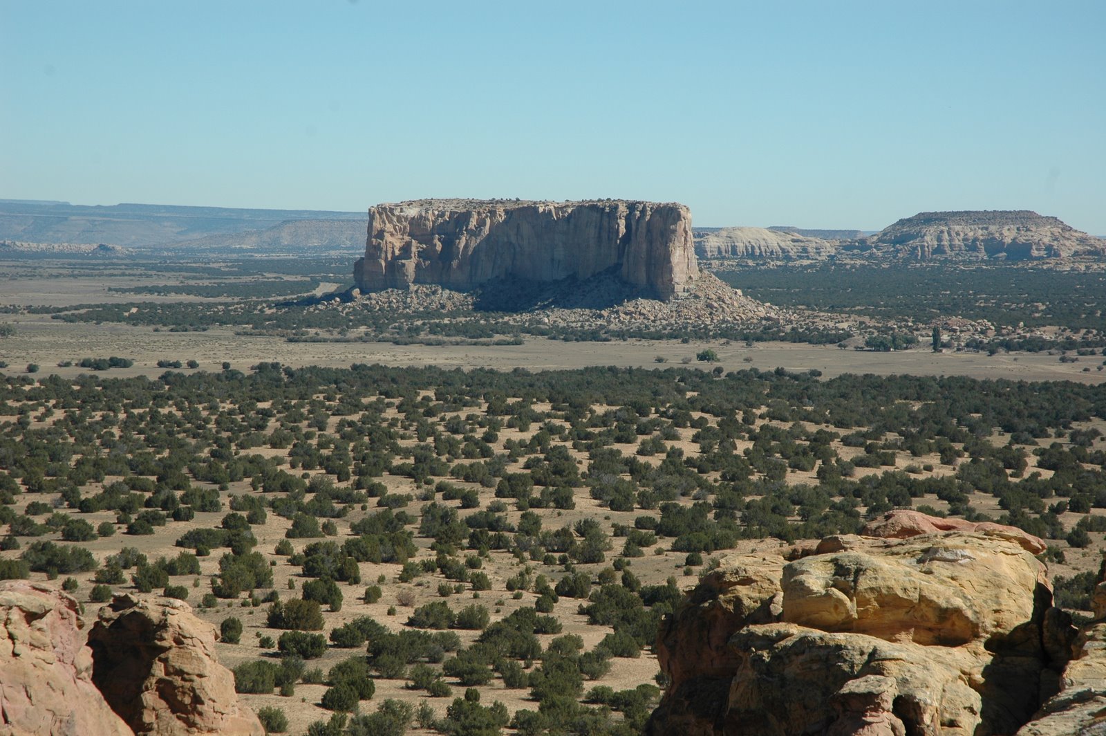 [DSC_0042.JPG]