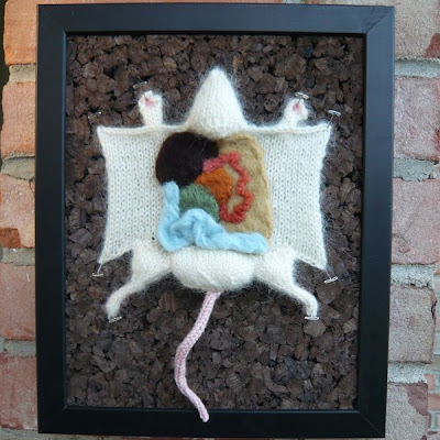 knitted dissection