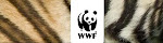 WWF - WWF Portugal