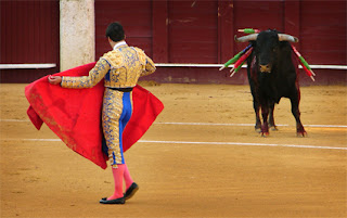 toros, taurino, coso taurino