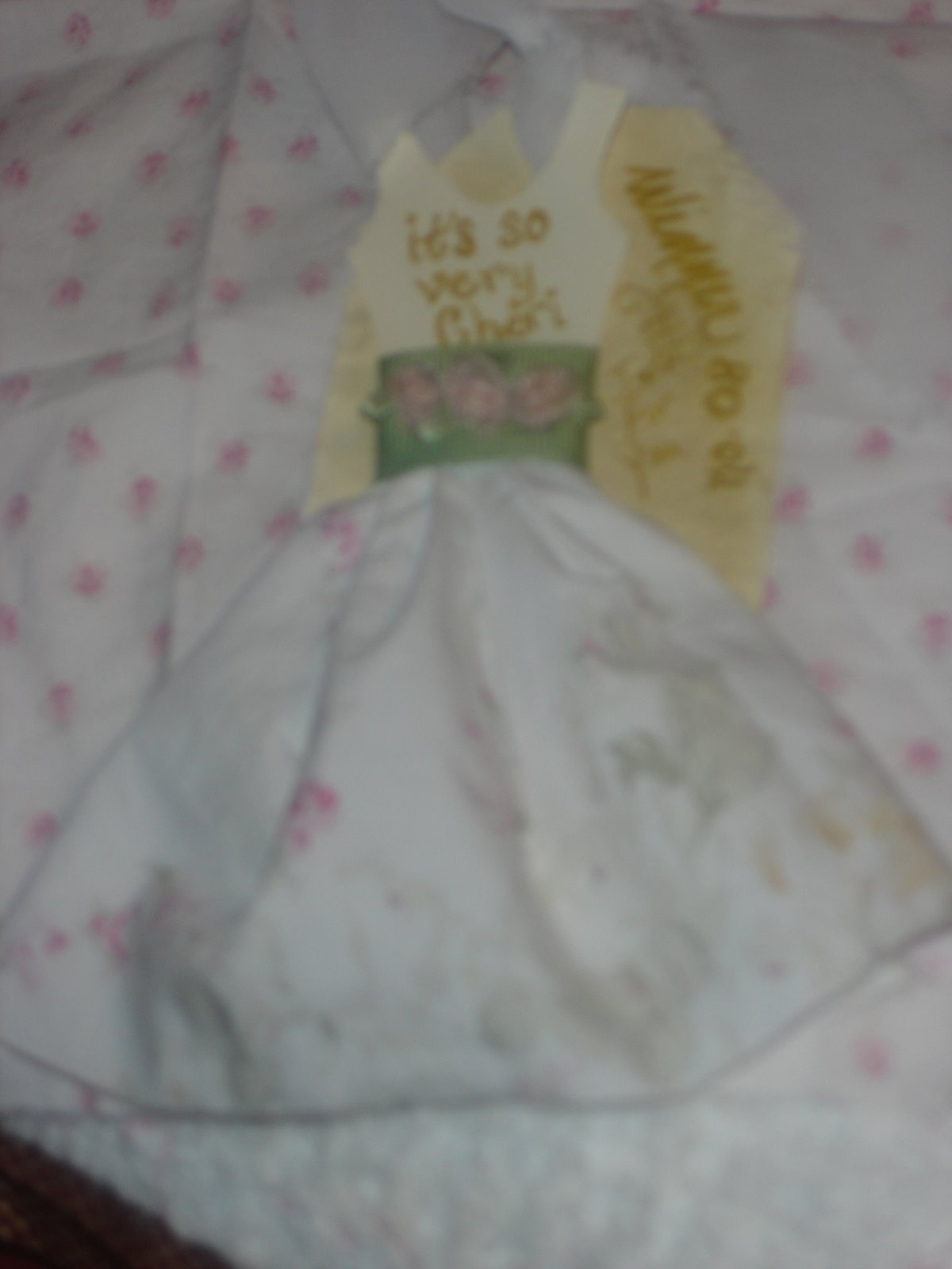 [DSC04424.JPG]