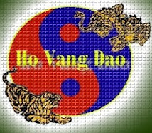 CLUBUL HO VANG DAO - PLOIESTI