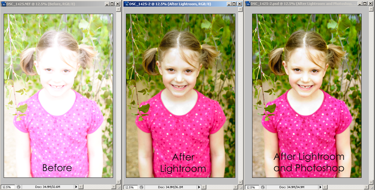 SpeedScraps Fixing an Overexposed Photo in Lightroom