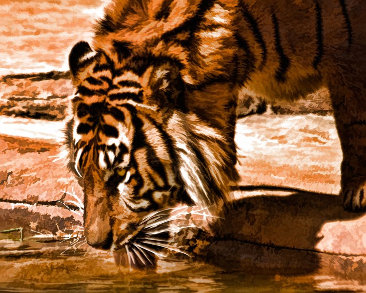 Theraputic Photography Jackson Mississippi Zoo