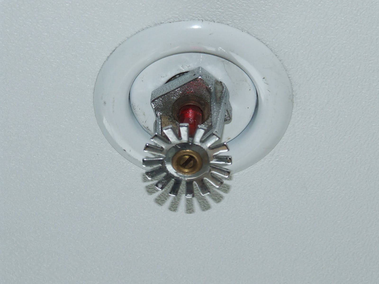 Office+sprinkler