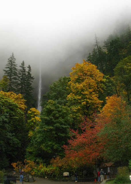 fog