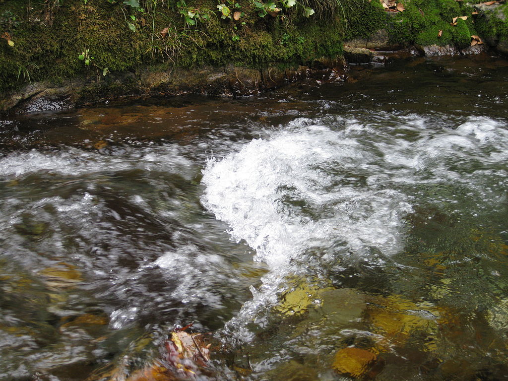 Looking For Detachment Hydraulic Jump Links