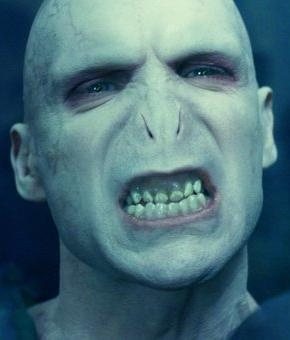 harry potter harry potter
