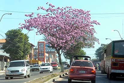 ciudad