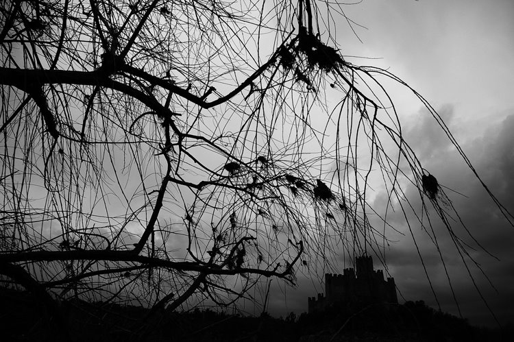 [almourol_1.jpg]