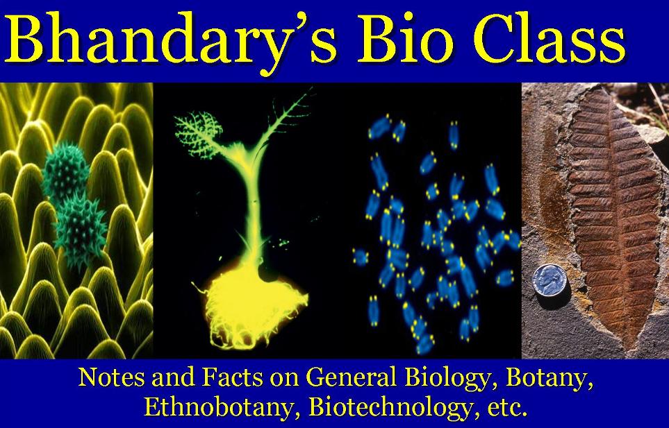 Bhandary's Bio Class
