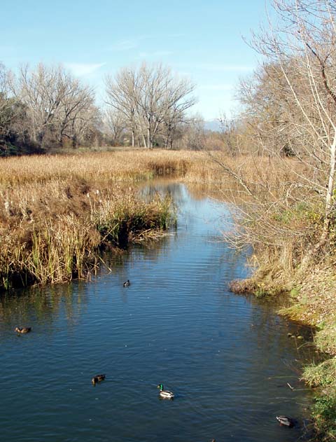 [P1010040b+copia.jpg]