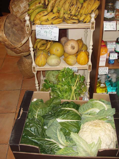 [P1010049w+copia.jpg]